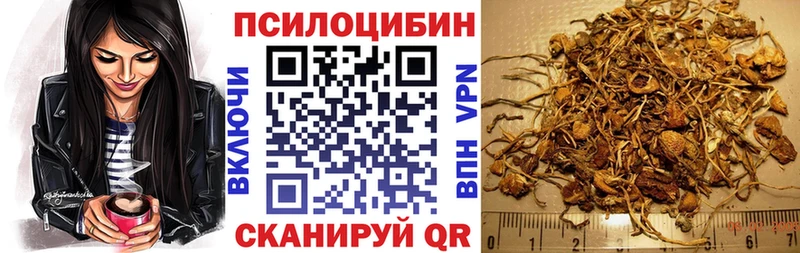 Галлюциногенные грибы ЛСД  Стародуб 